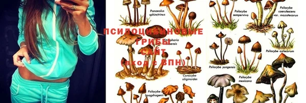 гашишное масло Балахна