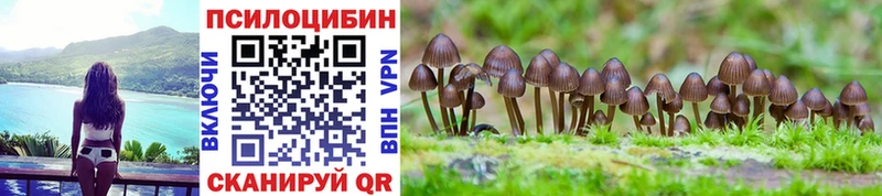 Галлюциногенные грибы Cubensis где можно купить Заозёрск